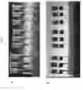 Fig. 06 - Method of filling a container with no headspace