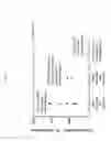 Fig. 10 - Method of filling a container with no headspace