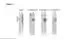 Fig. 07 - Artificially engineered protein hydrogels to mimic nucleoporin selective gating