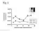 Fig. 02 - AAV-Based Gene Therapy