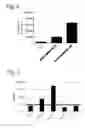 Fig. 09 - AAV-Based Gene Therapy