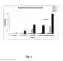 Fig. 06 - Anticancer therapy