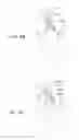 Fig. 08 - WOUND CARE ARTICLES