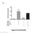 Fig. 12 - Time-controlled glucose releasing hydrogels and applications thereof