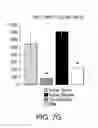 Fig. 09 - Injectable peripheral nerve specific hydrogel