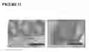 Fig. 12 - MICROFABRICATED TISSUE SCAFFOLDS AND METHODS OF MAKING AND USING THE SAME