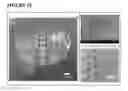 Fig. 16 - MICROFABRICATED TISSUE SCAFFOLDS AND METHODS OF MAKING AND USING THE SAME