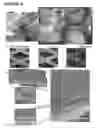 Fig. 31 - MICROFABRICATED TISSUE SCAFFOLDS AND METHODS OF MAKING AND USING THE SAME