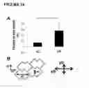 Fig. 34 - MICROFABRICATED TISSUE SCAFFOLDS AND METHODS OF MAKING AND USING THE SAME