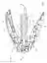 Fig. 05 - Needle-free intradermal injection device