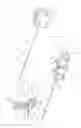 Fig. 03 - Epidural needle assembly