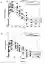 Fig. 12 - Methods of treating RSV infections