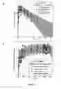 Fig. 23 - Methods of treating RSV infections