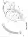 Fig. 11 - Breathing assistance apparatus