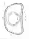 Fig. 20 - Patient interface for PAP therapy with rigid headgear connection elements