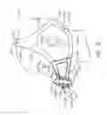 Fig. 43 - Patient interface for PAP therapy with rigid headgear connection elements