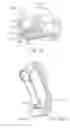 Fig. 61 - Patient interface for PAP therapy with rigid headgear connection elements