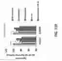 Fig. 111 - Systems and methods for preventing, mitigating, and/or treating dementia