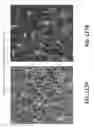 Fig. 118 - Systems and methods for preventing, mitigating, and/or treating dementia