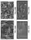 Fig. 125 - Systems and methods for preventing, mitigating, and/or treating dementia
