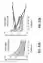 Fig. 33 - Systems and methods for preventing, mitigating, and/or treating dementia