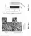 Fig. 54 - Systems and methods for preventing, mitigating, and/or treating dementia