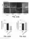 Fig. 62 - Systems and methods for preventing, mitigating, and/or treating dementia