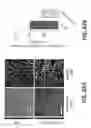 Fig. 63 - Systems and methods for preventing, mitigating, and/or treating dementia