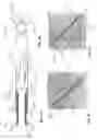 Fig. 04 - Wire centering sheath and method