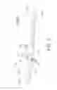 Fig. 03 - Peri-vascular tissue ablation catheter with support structures