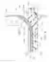 Fig. 05 - Peri-vascular tissue ablation catheter with support structures