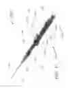 Fig. 10 - Peri-vascular tissue ablation catheter with support structures
