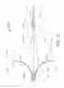 Fig. 11 - Peri-vascular tissue ablation catheter with support structures