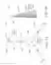 Fig. 18 - Peri-vascular tissue ablation catheter with support structures