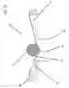 Fig. 22 - System and method adapted to enable simultaneous play of one or more sports games in the same facility with automated ball delivery, tracking and collection