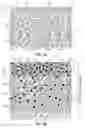 Fig. 02 - Three dimensional nanoporous membrane having multiple independent, continuous pore systems