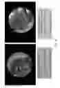 Fig. 37 - Biochar extracts and method for capturing material extracted from biochar