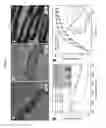 Fig. 09 - Method for preparing a magnetic chain structure