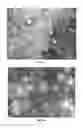 Fig. 02 - Method of coating a substrate with a particle stabilized foam