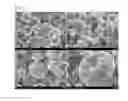 Fig. 07 - Method for producing hollow carbon capsules