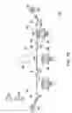 Fig. 09 - Imprinting apparatus and imprinting method
