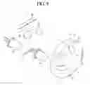 Fig. 09 - Lighting apparatus for vehicle