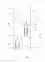 Fig. 07 - Sensor handover