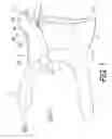 Fig. 02 - Bicycle operating device
