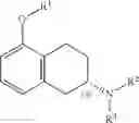 Fig. 22 - Processes for the Preparation of Rotigotine and Intermediates Thereof