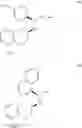 Fig. 62 - Processes for the Preparation of Rotigotine and Intermediates Thereof
