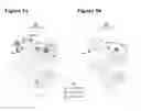 Fig. 06 - Compositions and Methods for Inhibiting BMP