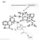 Fig. 02 - Composition and Method for Treating Metabolic Disorders