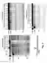 Fig. 07 - ANTIBIOTIC COMPOUNDS AND COMPOSITIONS, AND METHODS FOR IDENTIFICATION THEREOF