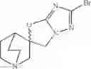 Fig. 45 - Quinuclidine compounds as α-7 nicotinic acetylcholine receptor ligands